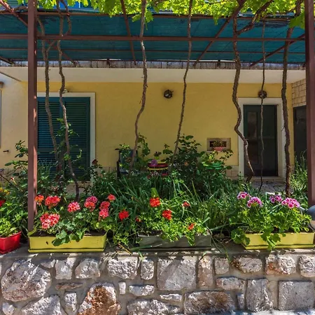 Case de vacanță In 43088 *