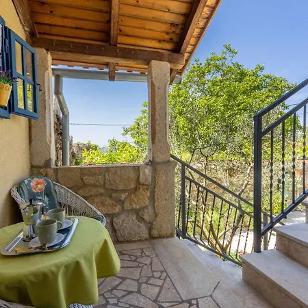 In 43088 Case de vacanță